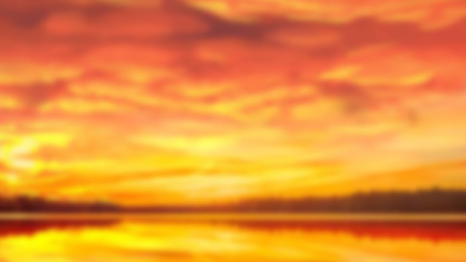 whiteelephant_bg_web.